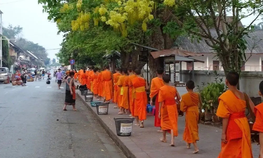 10-Day Vietnam to Laos Mountain Discovery Deep Travel VIP