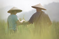 🌾 稻米是生命体验和光西瀑布 – 老挝地道一日游